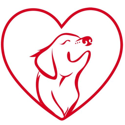 Educación Canina Respetuosa | ConcientizanDog