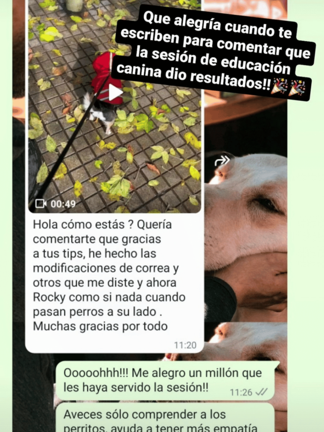 Testimonio 1