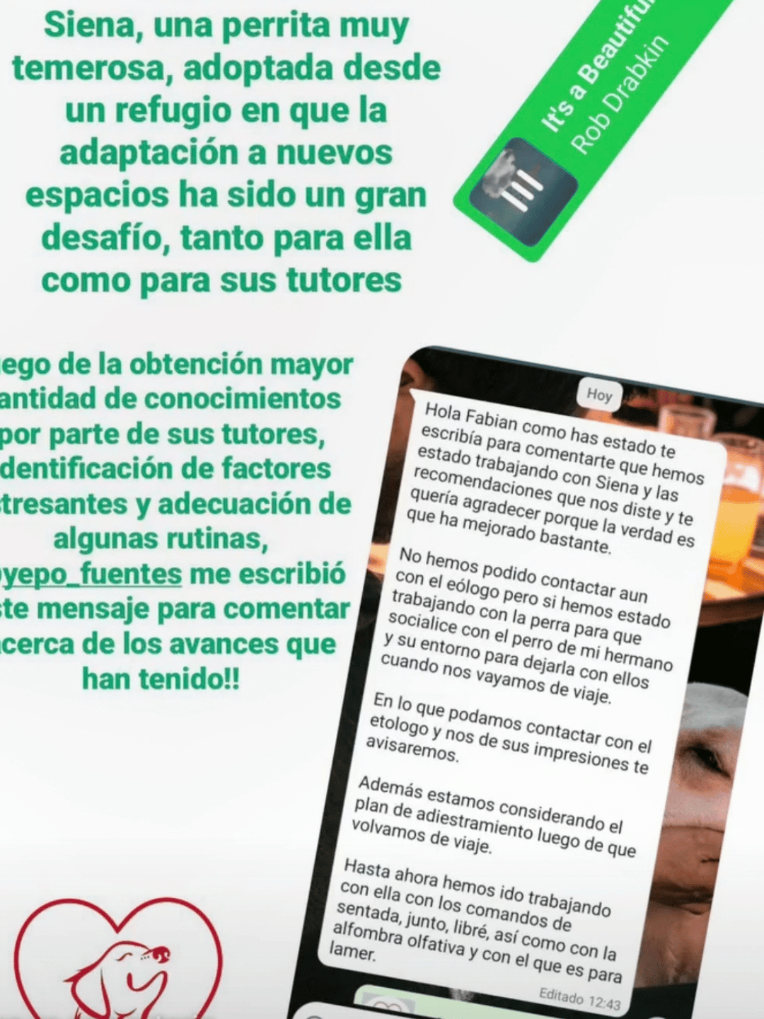Testimonio 2