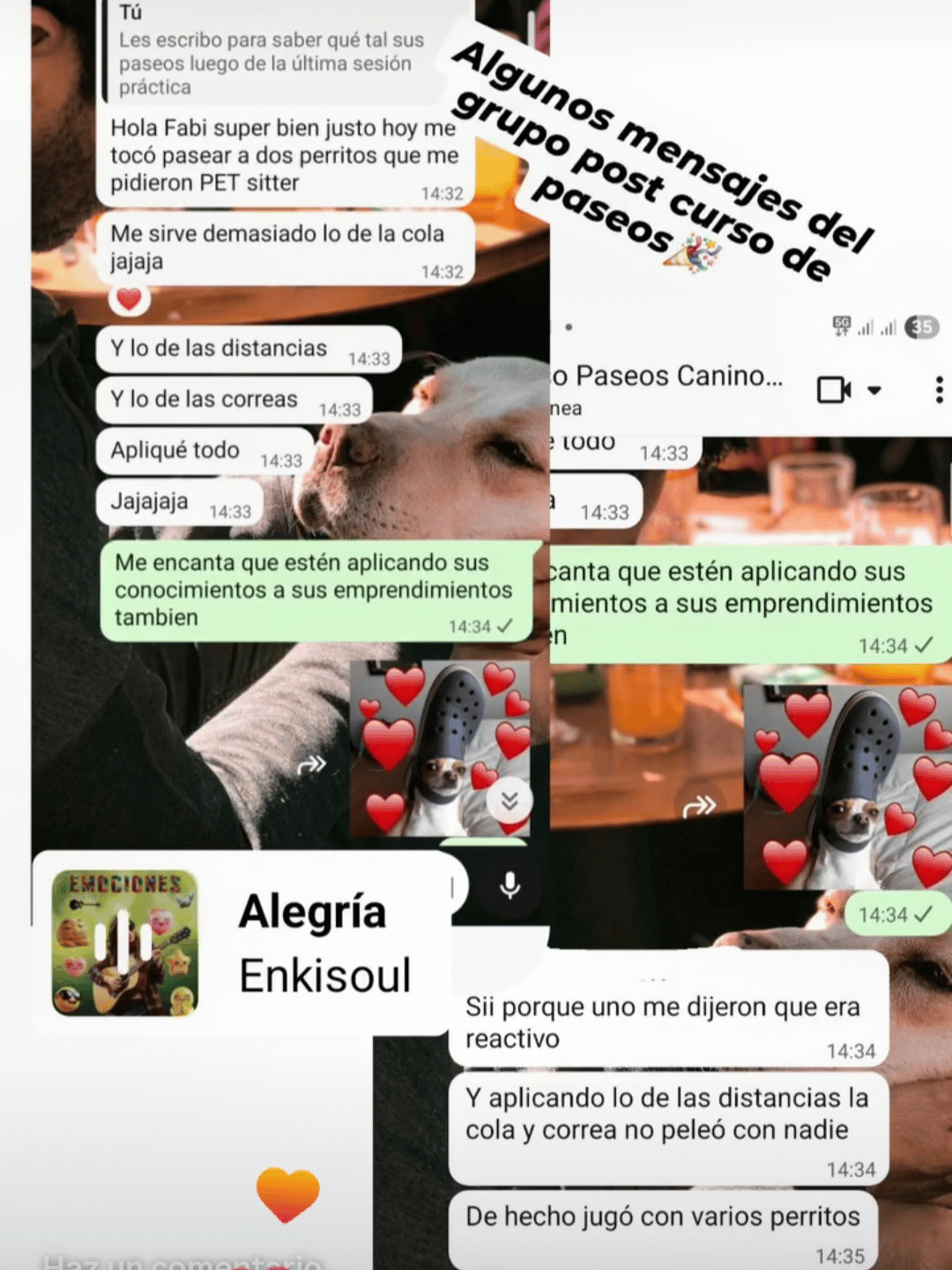 Testimonio 3