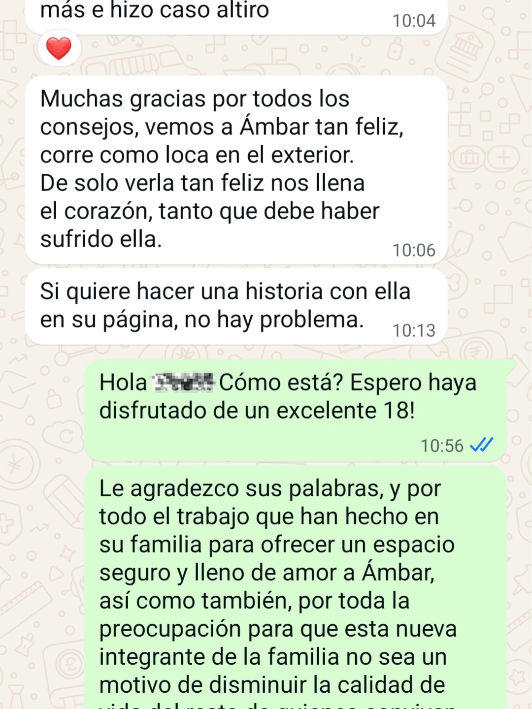 Testimonio 6