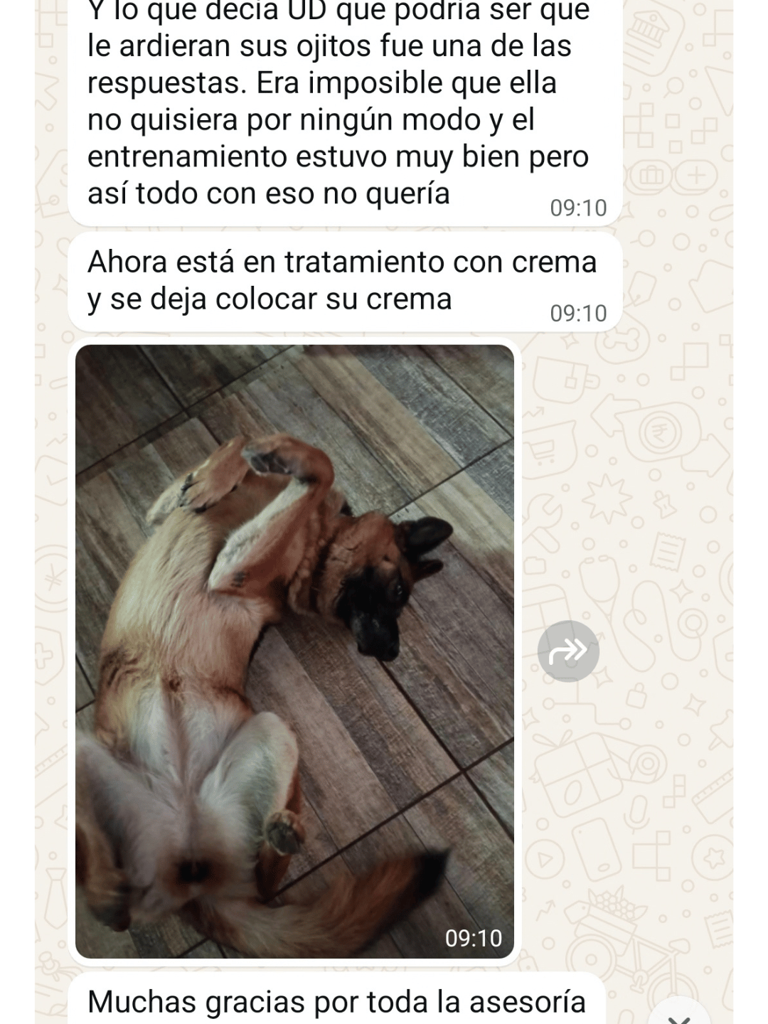 Testimonio 7